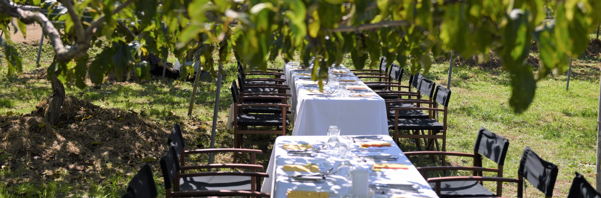 photo：Food Camp under the crape myrtle tree