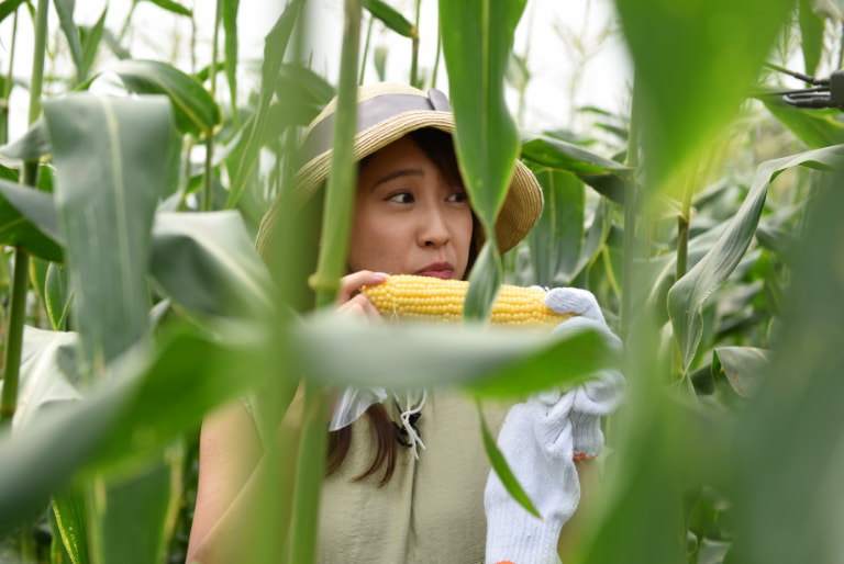 photo：A woman bites into a piece of corn.