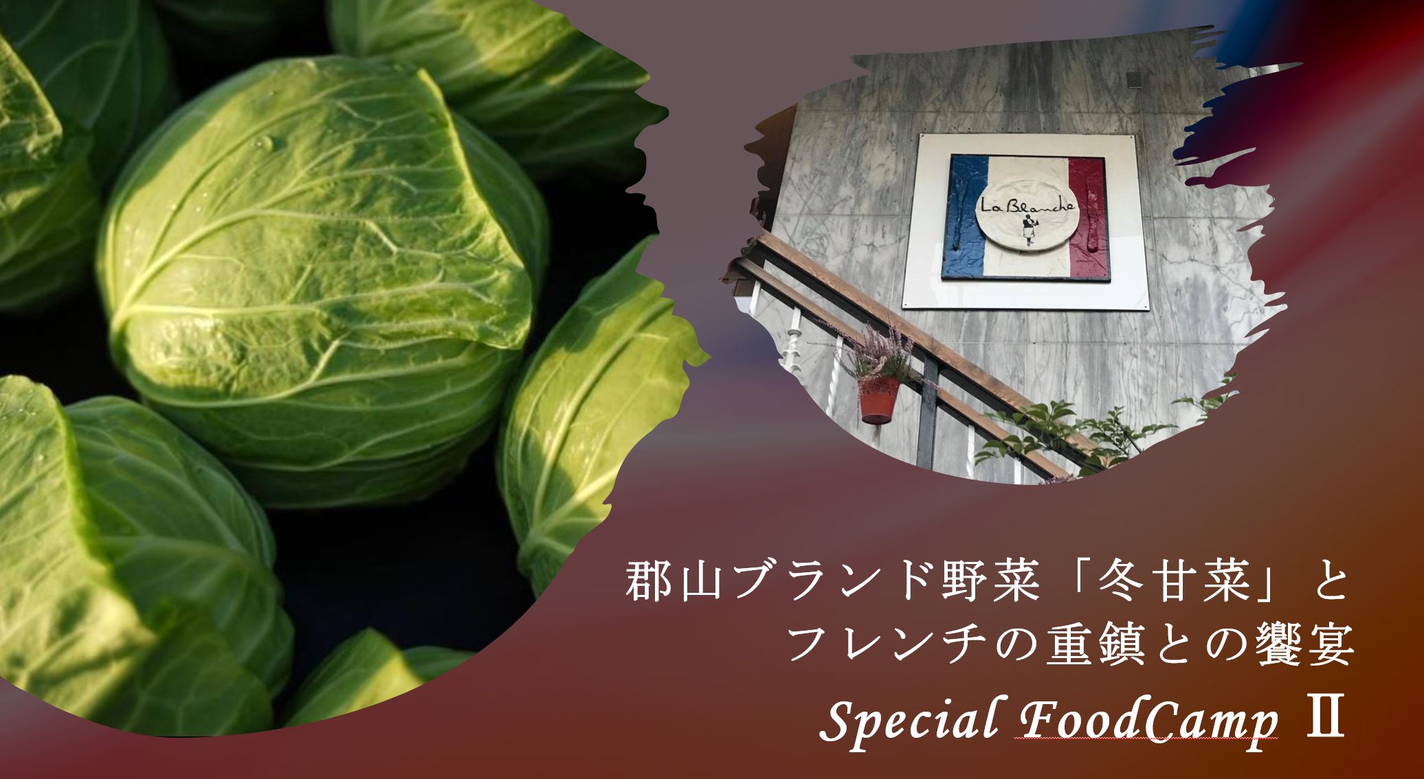 Foodcamp ツアー 一覧 孫の手トラベル