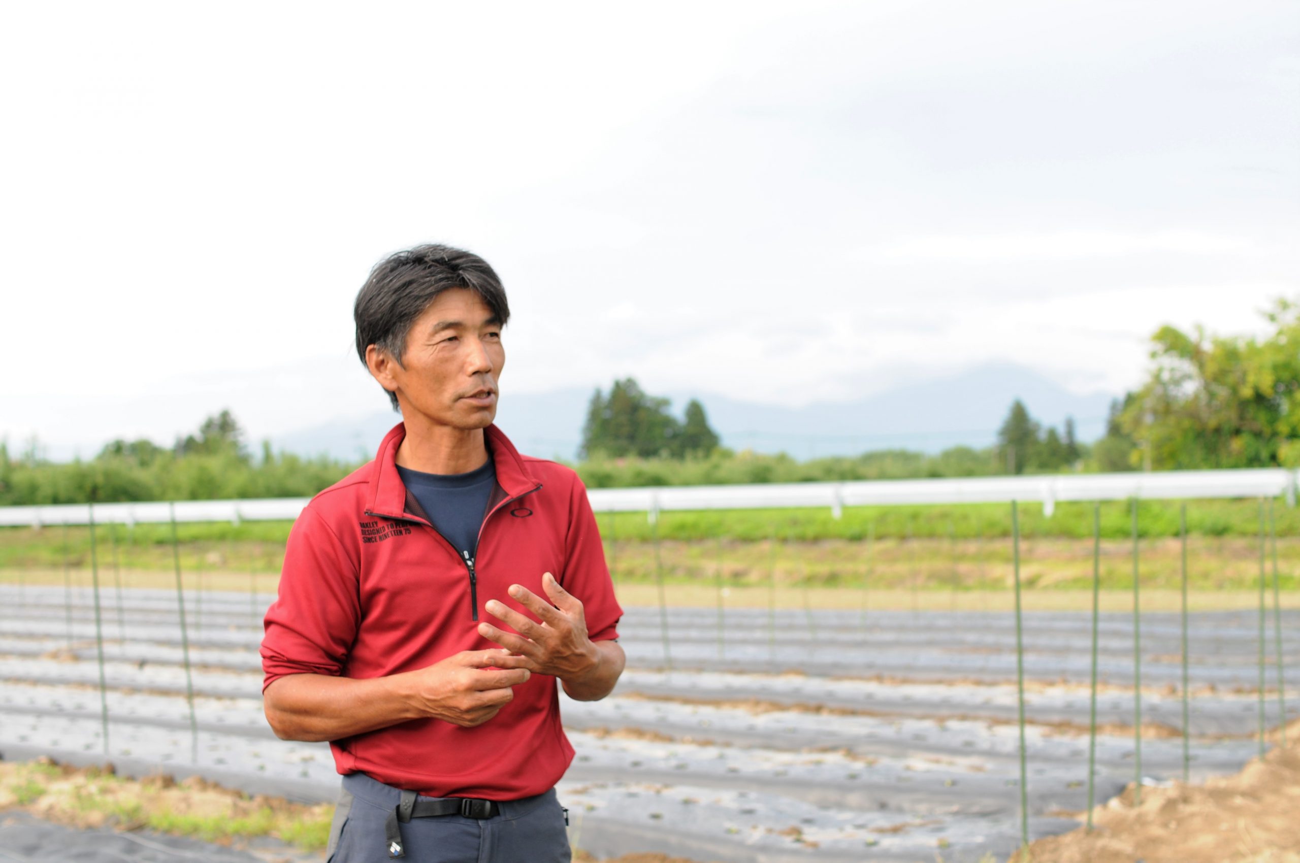 写真:会津伝統野菜 長谷川純一