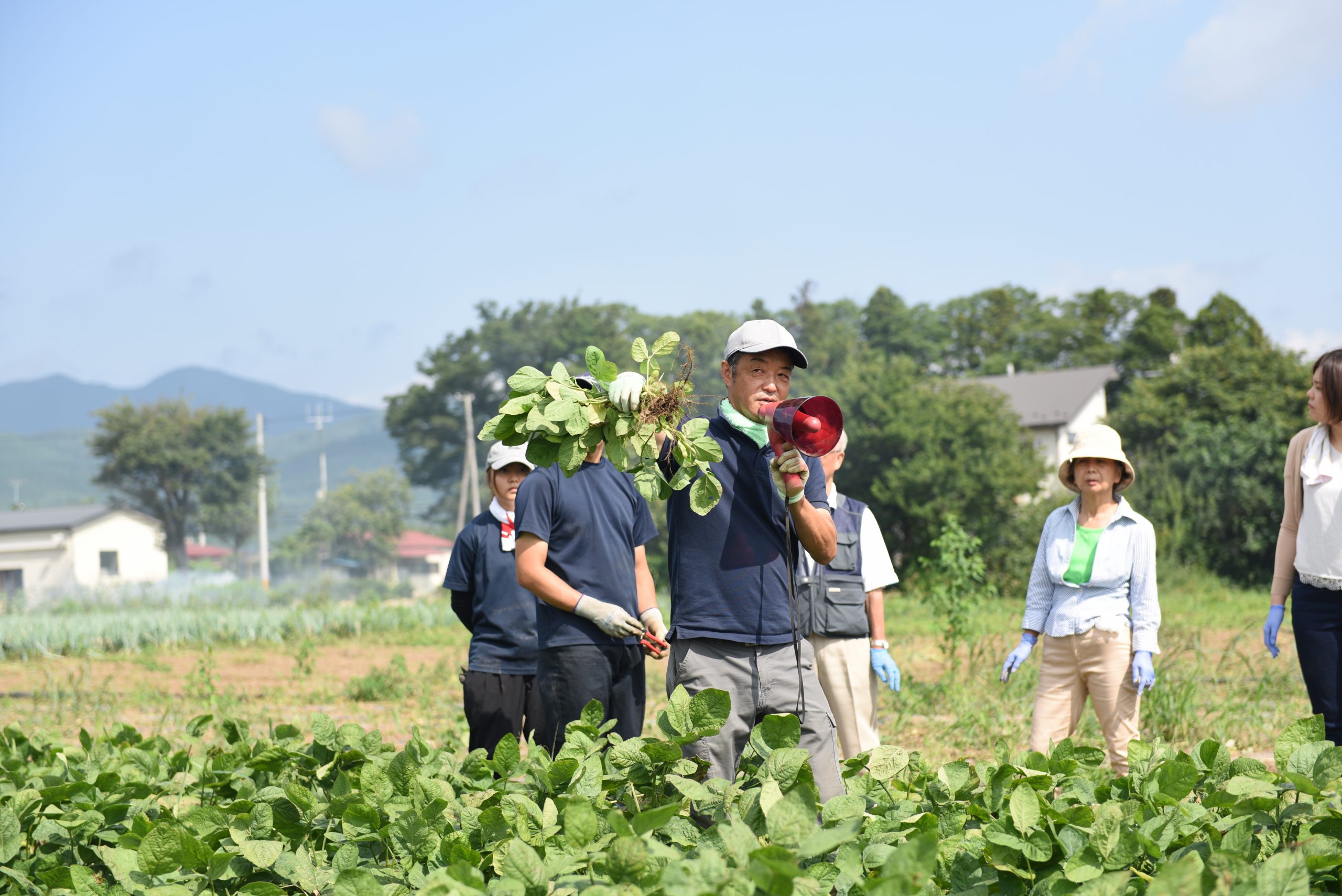 鈴木農場 Specialfoodcamp 郡山ブランド野菜 冬甘菜 とフレンチの重鎮との饗宴 孫の手トラベル